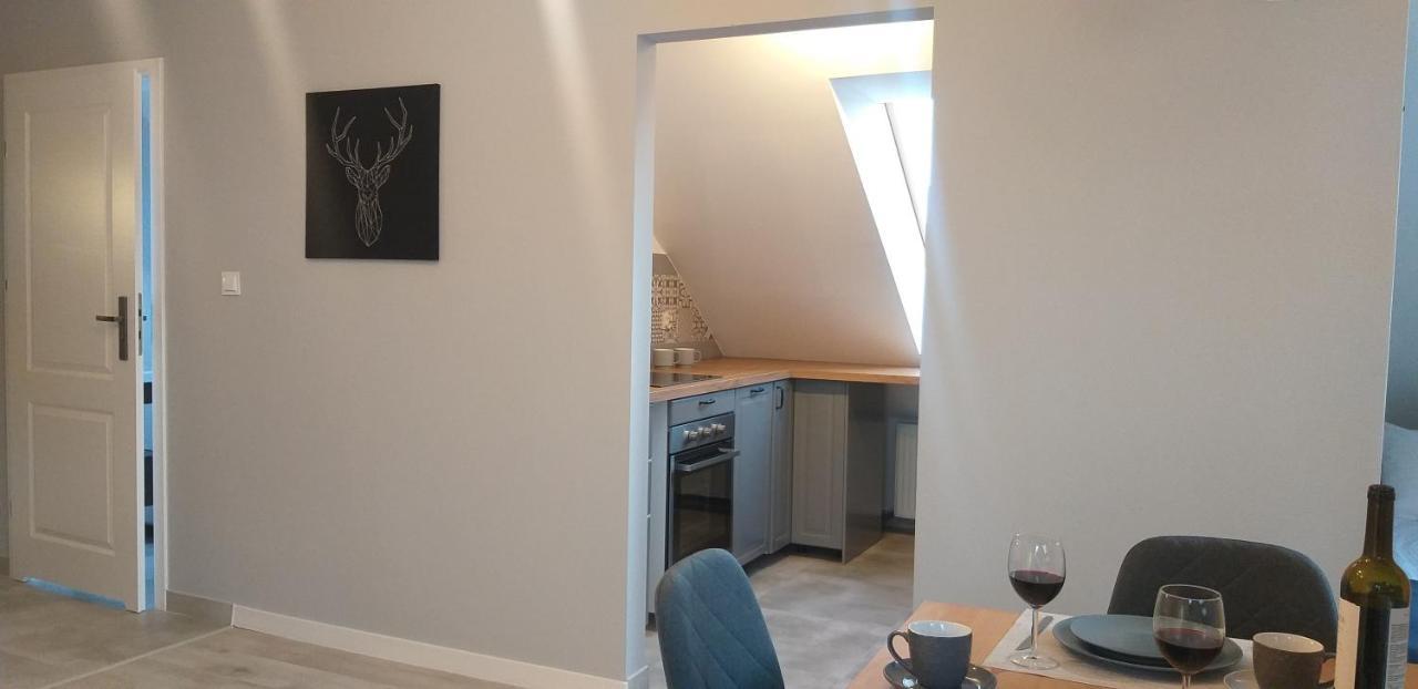Apartamenty Nad Niwka 비엘스코-비아와 외부 사진